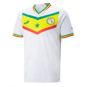 Senegal Replika Hjemmebanetrøje VM 2022 Kortærmet
